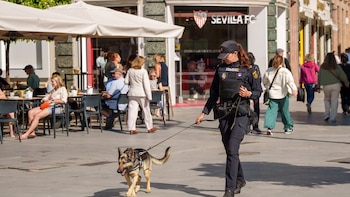 Desde 1.800 hasta 3.000 euros: estas son todas las especialidades de la Guardia Civil y cuánto se cobra en cada una