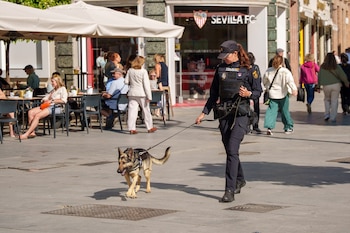 Imágenes de la muestra de las fuerzas policiales. A 26 de marzo de 2026 en Sevilla, Andalucía (España).
