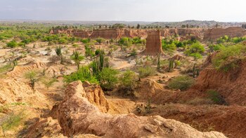 Un yacimiento paleontológico en Colombia