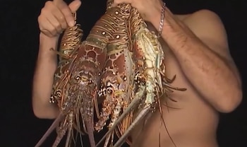 Un hombre sin camisa sostiene tres langostas espinosas grandes con sus manos. Se ven sus brazos y parte de su torso