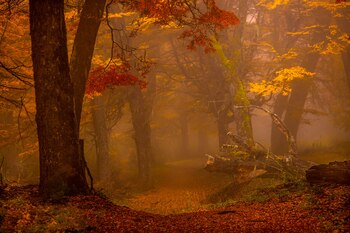 Otoño patagónico (Juan Pose)