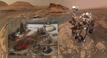 Por primera vez se detectaron