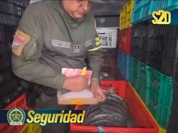 La Policía encontró 600 paquetes rectangulares ocultos entre las canastillas de pescado que transportaba el vehículo -crédito @DirectorPolicia/X
