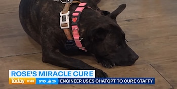 Pese a los avances, expertos