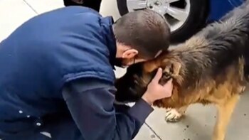 La conmovedora historia de Dico: