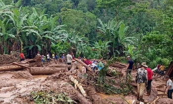 Varias personas caminan entre barro, troncos caídos y escombros en una zona montañosa con vegetación densa