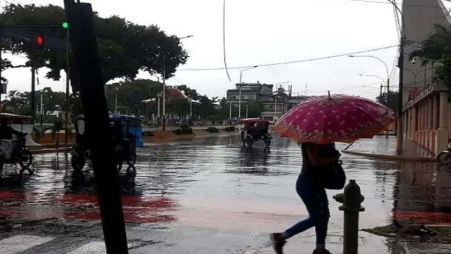 Una masa de aire frío ingresará a la selva sur el jueves 15 de octubre y provocará lluvias, vientos y una disminución de las temperaturas - Créditos: Andina.