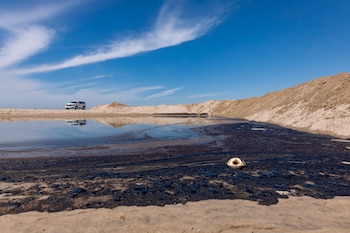 El alquitrán se acumula en la costa luego de un derrame de petróleo frente a la costa de Huntington Beach, California, EE. UU., EFE / EPA / CHRISTIAN MONTERROSA