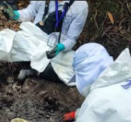 El Coordinador dijo que el proceso “también tomó mucho tiempo porque las estructuras había que recuperarlas de manera ordenada para no mezclarlas y poder identificarlas más fácilmente” - Unidad de Búsqueda de Personas dadas por Desaparecidas