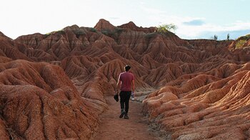 "La coulevre noire", del francés
