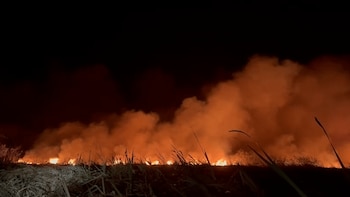 Costa Rica: Incendio forestal afecta el Parque Nacional Palo Verde en Guanacaste tras impacto de rayo
