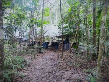 El Ejército Nacional destruyó un laboratorio de cocaína en Guaviare, afectando las finanzas criminales del Bloque Jorge Suárez Briceño y evitando distribución de drogas - crédito Ejército Nacional