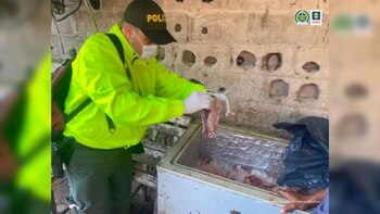 Imagen de referencia. De acuerdo