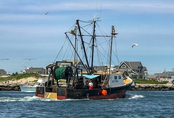 Un barco pesquero de madera con el número 672568 navega en el agua con casas de fondo y gaviotas en el aire