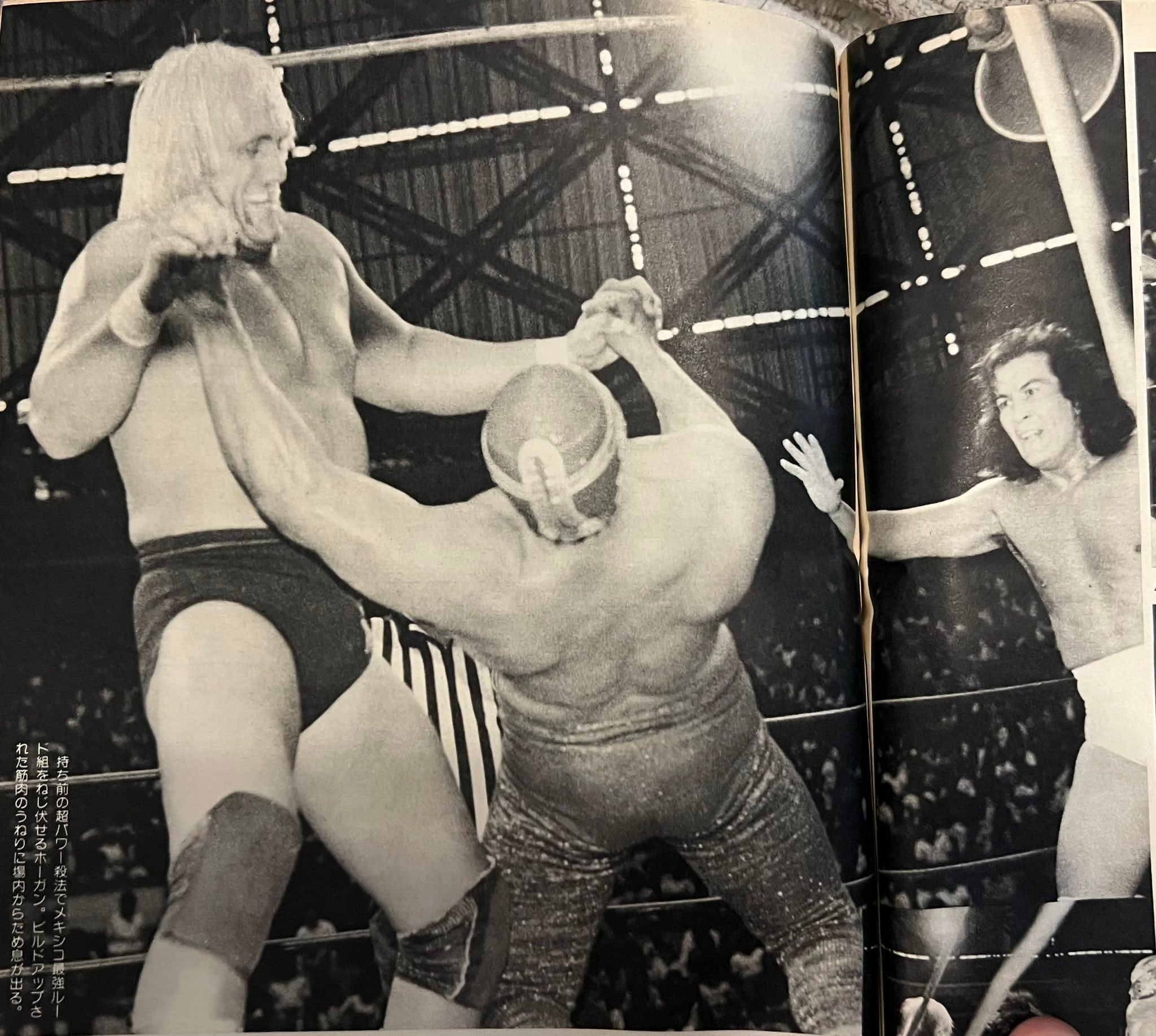 Canek y el Perro Aguayo combatieron ante el poder de Hulk Hogan. (Especial)