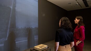 La muestra es el resultado