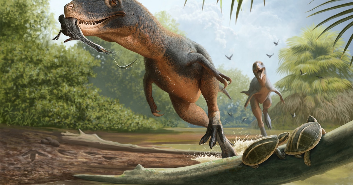 Photo: infobae.com Fossilized Bird Feather Found in Dinosaur Dung Explains Cretaceous Survival