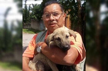 Imagen KN2PTIVRIZE5JJ7QJVS2B3ZHSE