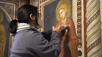 Especialistas catalogaron y escanearon todos