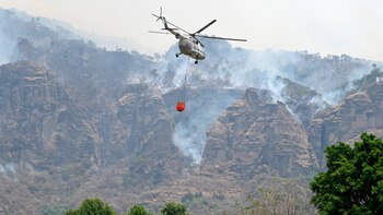 Alertan por más de 800