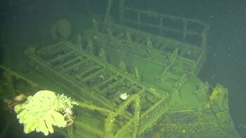 El naufragio ahora sirve como