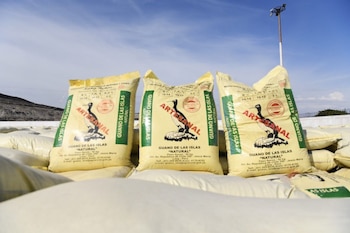 14 mil 765 toneladas de guano serán distribuidas.