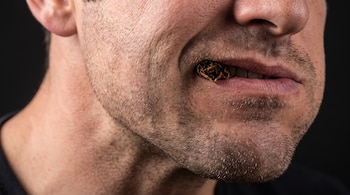 Acercamiento al rostro de un hombre que sostiene una pequeña bola de hojas secas de tabaco entre sus labios y dientes.