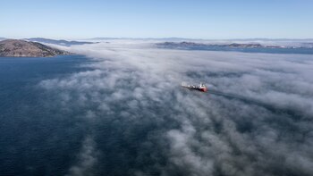 La llegada tardía del fenómeno