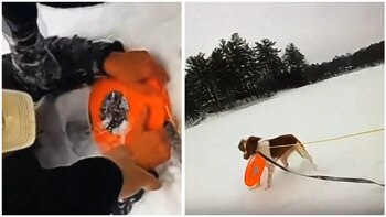 Ruby llevó con éxito un