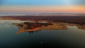 Los humanos prosperaron en diversos