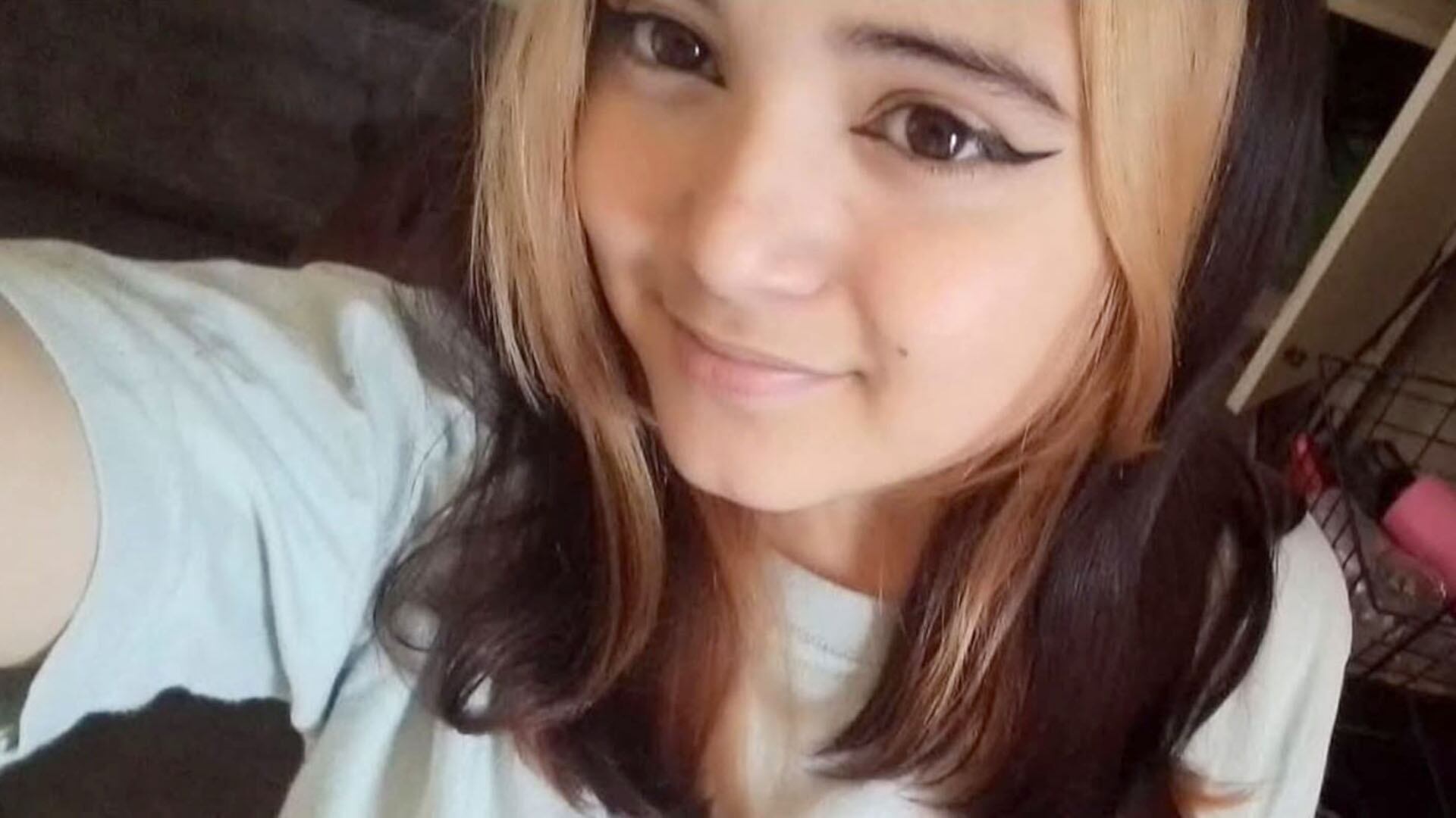 La adolescente desaparecida