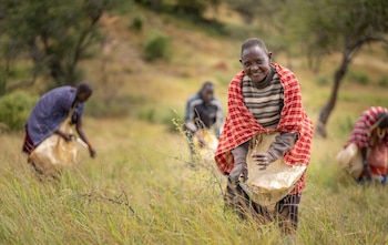 Los pueblos indígenas gestionan el 25% de la superficie terrestre mundial, preservando territorios clave para la biodiversidad y los sumideros de carbono. (Foto: PNUD Tanzania / Phil Kabuje)