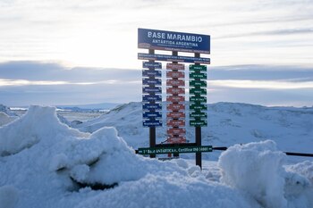 Se planea continuar con experimentos