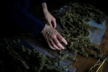 Bucaramanga fue una de las