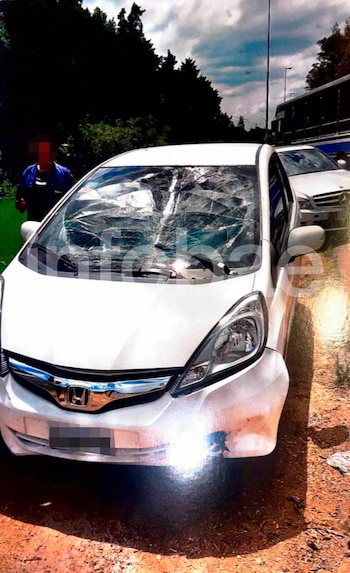 Un árbol le cayó encima del auto en la ruta, demandó a la municipalidad y el fallo le salió en contra