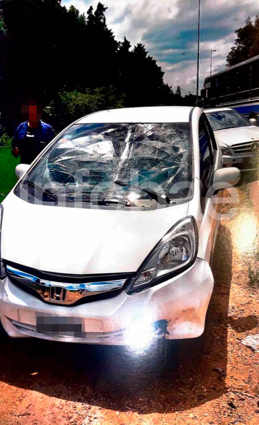 El fallo indicó que el automovilista no acreditó que estuviera dentro del auto al momento de la caída del árbol por falta de testigos, actas o asistencia médica. (Poder Judicial)