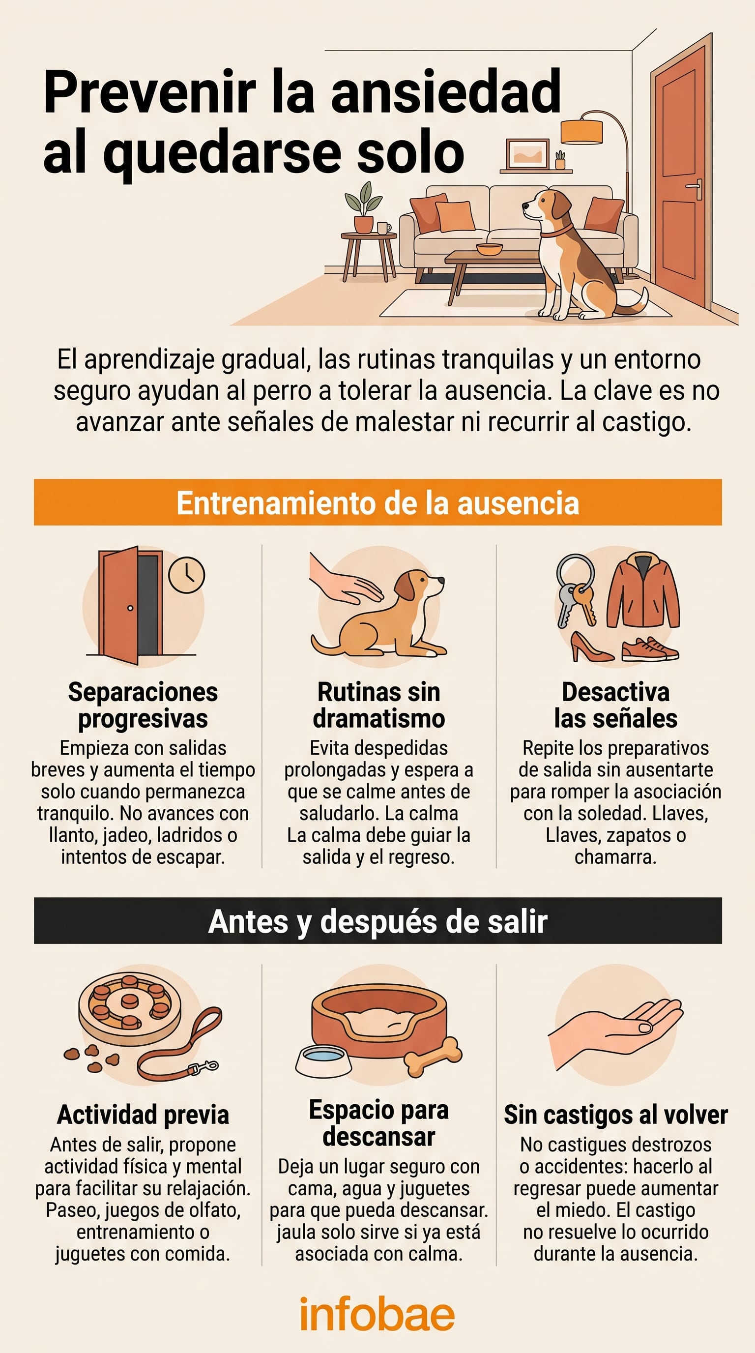 Una infografía de Infobae detalla estrategias de entrenamiento, rutinas y adecuación del entorno para evitar la ansiedad por separación en los perros. (Imagen Ilustrativa Infobae)