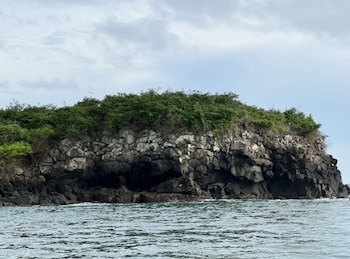 Los arrecifes coralinos funcionan como auténticos viveros del mar, donde cientos de especies encuentran refugio, alimento y sitios para reproducirse. (MiAmbiente)