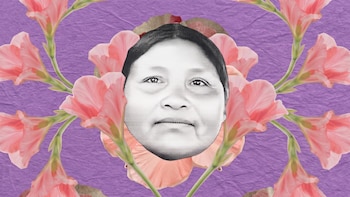 México reconoce su responsabilidad parcial en caso de Ernestina Ascencio, mujer indígena que murió tras ser violada por el Ejército