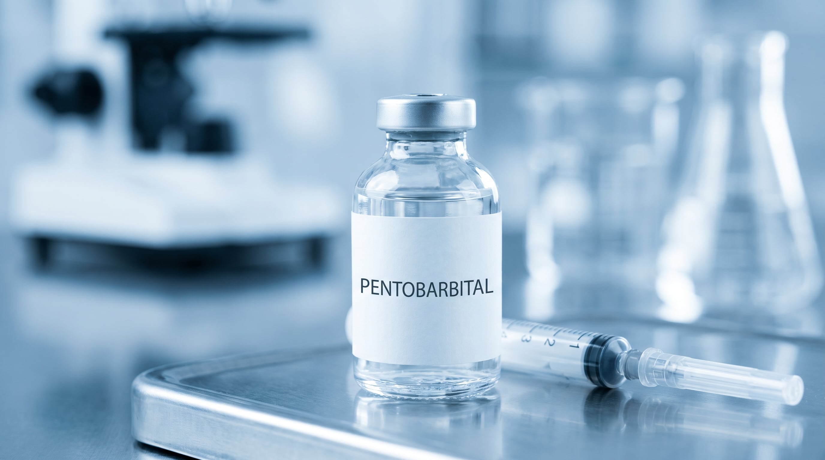 El pentobarbital actúa como un depresor del sistema nervioso central al disminuir la actividad neuronal (Imagen Ilustrativa Infobae)