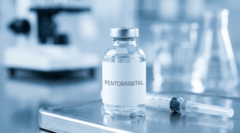 Frasco de vidrio con una etiqueta blanca que dice PENTOBARBITAL y una jeringa sobre una superficie metálica en un laboratorio.