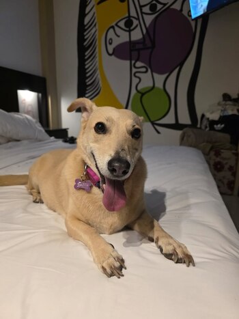 La mascota del actor, Juliana,