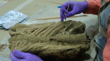 Cerca de dos millones y