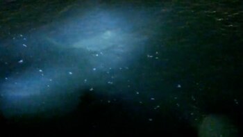 Pescaban en la costa de