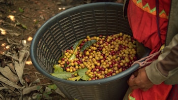 La entrada en escena de
