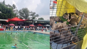 Clausuran balneario en San Juan de Aragón por irregularidades ambientales: vendía bebidas alcohólicas y animales de compañía