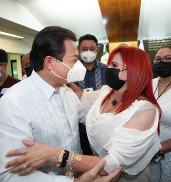 Mario Delgado, Presidente Nacional de