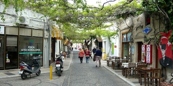 Las tradiciones vivas de Eski Foça se reflejan en el mercado local Yeryüzü Pazarı, la arquitectura de casas griegas y las cenas de mariscos frente al mar en bistrós históricos (Wikipedia)