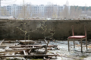 En esta fotografía tomada el miércoles 5 de abril de 2017, se ven pequeños árboles creciendo en un balcón de la desierta ciudad de Pripyat, a unos 3 kilómetros de la central nuclear de Chernobyl, en Ucrania. Pripyat, que alguna vez albergó a unas 50.000 personas cuyas vidas estaban ligadas a la central (AP Photo/Efrem Lukatsky)