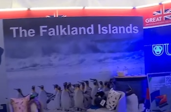 El stand de las Islas Malvinas en el pabellón británico de la Expo Prado de Uruguay (Captura Canal 12)